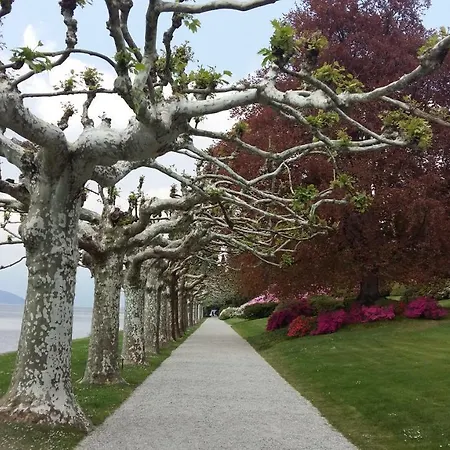 A Private And Parking Апартаменты Oliveto Lario